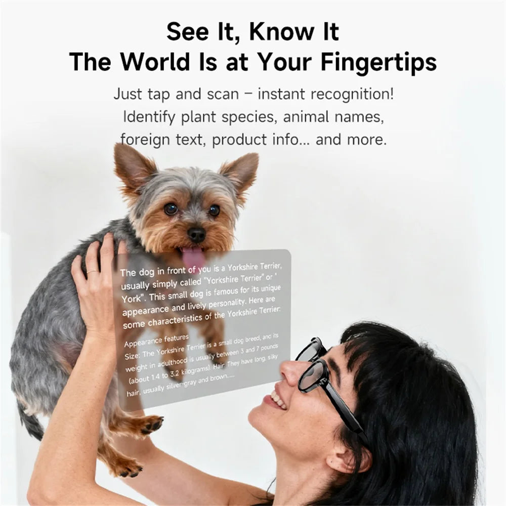 AI lunettes intelligentes traduction en temps réel double caméra Bluetooth appel lunettes de soleil tirer Audio vidéo lecteur de musique multifonctionnel hommes