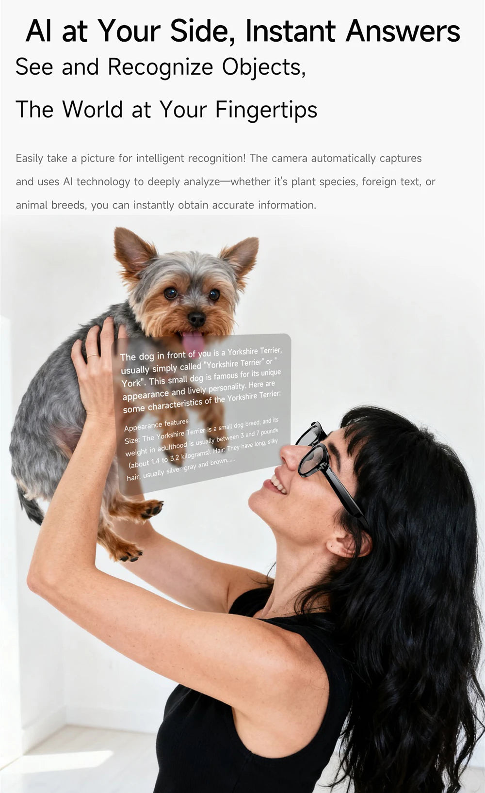 AI lunettes intelligentes traduction en temps réel double caméra Bluetooth appel lunettes de soleil tirer Audio vidéo lecteur de musique multifonctionnel hommes